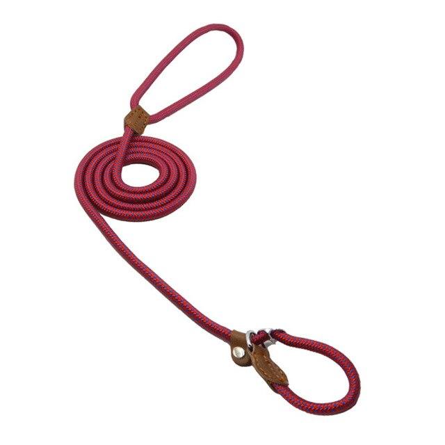 Conjunto de nailon para cachorro