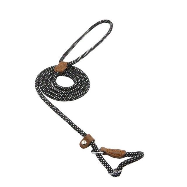 Conjunto de nailon para cachorro