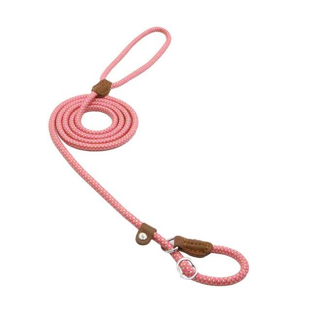 Conjunto de nailon para cachorro
