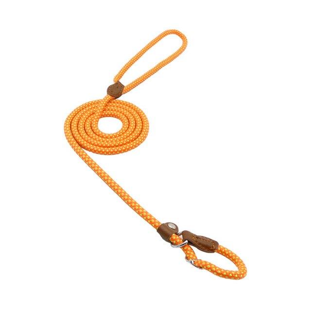 Conjunto de nailon para cachorro