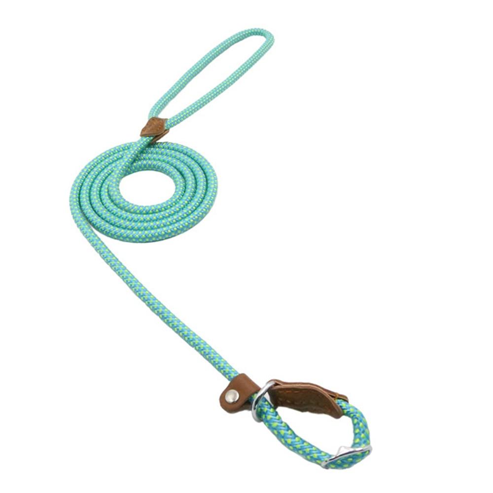 Conjunto de nailon para cachorro